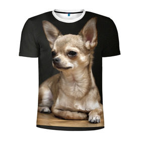 Мужская футболка 3D спортивная с принтом Чихуахуа в Тюмени, 100% полиэстер с улучшенными характеристиками | приталенный силуэт, круглая горловина, широкие плечи, сужается к линии бедра | Тематика изображения на принте: животное | порода | собака | чихуахуа