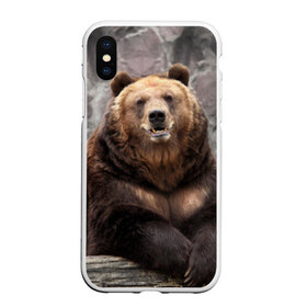 Чехол для iPhone XS Max матовый с принтом Русский медведь в Тюмени, Силикон | Область печати: задняя сторона чехла, без боковых панелей | медведь | россия | русский | русский медведь