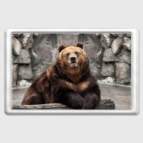 Магнит 45*70 с принтом Русский медведь в Тюмени, Пластик | Размер: 78*52 мм; Размер печати: 70*45 | Тематика изображения на принте: медведь | россия | русский | русский медведь