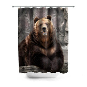 Штора 3D для ванной с принтом Русский медведь в Тюмени, 100% полиэстер | плотность материала — 100 г/м2. Стандартный размер — 146 см х 180 см. По верхнему краю — пластиковые люверсы для креплений. В комплекте 10 пластиковых колец | медведь | россия | русский | русский медведь