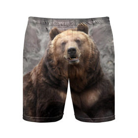 Мужские шорты 3D спортивные с принтом Русский медведь в Тюмени,  |  | медведь | россия | русский | русский медведь