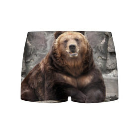 Мужские трусы 3D с принтом Русский медведь в Тюмени, 50% хлопок, 50% полиэстер | классическая посадка, на поясе мягкая тканевая резинка | Тематика изображения на принте: медведь | россия | русский | русский медведь