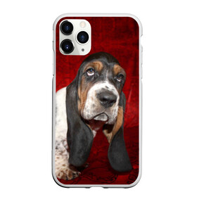 Чехол для iPhone 11 Pro матовый с принтом Бассет-хаунд в Тюмени, Силикон |  | Тематика изображения на принте: бархат | бассет хаунд | взгляд | домашнее | животное | порода | собака | уши