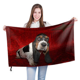 Флаг 3D с принтом Бассет-хаунд в Тюмени, 100% полиэстер | плотность ткани — 95 г/м2, размер — 67 х 109 см. Принт наносится с одной стороны | бархат | бассет хаунд | взгляд | домашнее | животное | порода | собака | уши