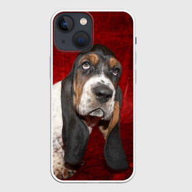 Чехол для iPhone 13 mini с принтом Бассет хаунд в Тюмени,  |  | Тематика изображения на принте: бархат | бассет хаунд | взгляд | домашнее | животное | порода | собака | уши