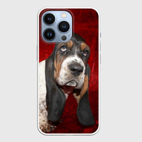 Чехол для iPhone 13 Pro с принтом Бассет хаунд в Тюмени,  |  | Тематика изображения на принте: бархат | бассет хаунд | взгляд | домашнее | животное | порода | собака | уши