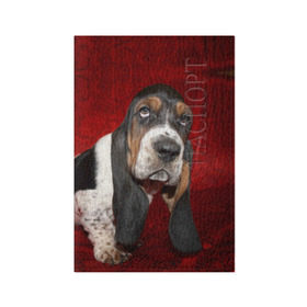 Обложка для паспорта матовая кожа с принтом Бассет-хаунд в Тюмени, натуральная матовая кожа | размер 19,3 х 13,7 см; прозрачные пластиковые крепления | Тематика изображения на принте: бархат | бассет хаунд | взгляд | домашнее | животное | порода | собака | уши