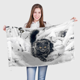 Флаг 3D с принтом Кот в снегу в Тюмени, 100% полиэстер | плотность ткани — 95 г/м2, размер — 67 х 109 см. Принт наносится с одной стороны | ветки | дикий | домашнее | животное | зима | кот | котэ | кошка | снег | сугробы