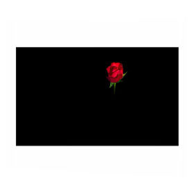 Бумага для упаковки 3D с принтом Розы за спиной в Тюмени, пластик и полированная сталь | круглая форма, металлическое крепление в виде кольца | Тематика изображения на принте: за спиной | любовь | подарок | роза | розы | сюрприз | цветы | чувства