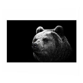 Бумага для упаковки 3D с принтом Медведь в Тюмени, пластик и полированная сталь | круглая форма, металлическое крепление в виде кольца | бурый | дикий | животное | медведь | россия | символ | тайги | фото | хищник | хозяин | черно белое