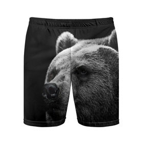 Мужские шорты 3D спортивные с принтом Медведь в Тюмени,  |  | Тематика изображения на принте: бурый | дикий | животное | медведь | россия | символ | тайги | фото | хищник | хозяин | черно белое