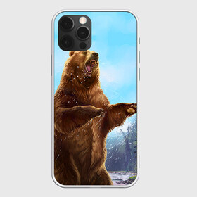 Чехол для iPhone 12 Pro Max с принтом Русский медведь в Тюмени, Силикон |  | Тематика изображения на принте: гитара