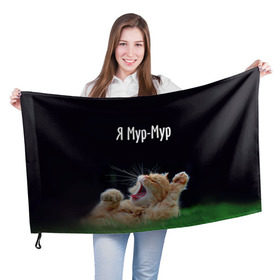 Флаг 3D с принтом Мур мур в Тюмени, 100% полиэстер | плотность ткани — 95 г/м2, размер — 67 х 109 см. Принт наносится с одной стороны | киса | кот | котики | кошка | мур | мурмур | прикольные | смешной котик | ямурмур