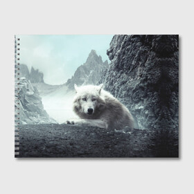 Альбом для рисования с принтом Волк в горах в Тюмени, 100% бумага
 | матовая бумага, плотность 200 мг. | animal