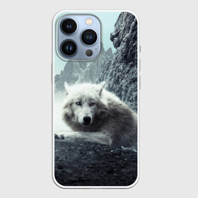 Чехол для iPhone 13 Pro с принтом Волк в горах в Тюмени,  |  | animal