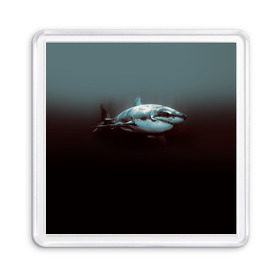 Магнит 55*55 с принтом Акула в Тюмени, Пластик | Размер: 65*65 мм; Размер печати: 55*55 мм | акула | море | хищник