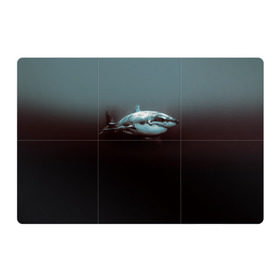 Магнитный плакат 3Х2 с принтом Акула в Тюмени, Полимерный материал с магнитным слоем | 6 деталей размером 9*9 см | акула | море | хищник