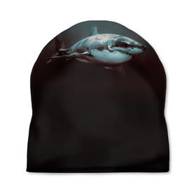 Шапка 3D с принтом Акула в Тюмени, 100% полиэстер | универсальный размер, печать по всей поверхности изделия | акула | море | хищник