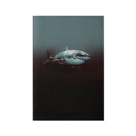 Обложка для паспорта матовая кожа с принтом Акула в Тюмени, натуральная матовая кожа | размер 19,3 х 13,7 см; прозрачные пластиковые крепления | акула | море | хищник