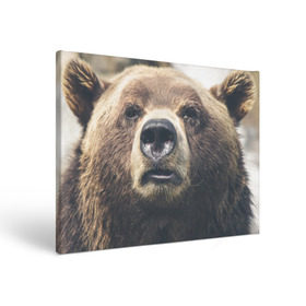 Холст прямоугольный с принтом Русский медведь в Тюмени, 100% ПВХ |  | медведь | россия | русский | символ | ссср