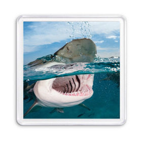 Магнит 55*55 с принтом Хищная акула в Тюмени, Пластик | Размер: 65*65 мм; Размер печати: 55*55 мм | акула | море | океан | природа | хищник