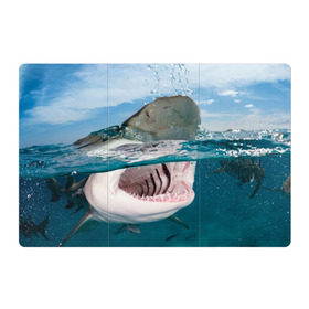 Магнитный плакат 3Х2 с принтом Хищная акула в Тюмени, Полимерный материал с магнитным слоем | 6 деталей размером 9*9 см | акула | море | океан | природа | хищник