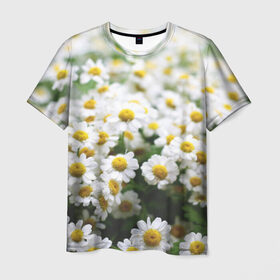 Мужская футболка 3D с принтом Полевые ромашки в Тюмени, 100% полиэфир | прямой крой, круглый вырез горловины, длина до линии бедер | Тематика изображения на принте: природа | ромашка | цветок | цветы