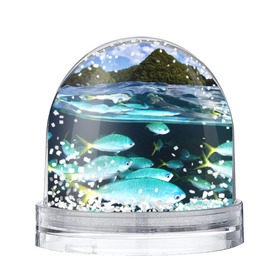 Водяной шар с принтом Подводный мир в Тюмени, Пластик | Изображение внутри шара печатается на глянцевой фотобумаге с двух сторон | вода | море | океан | природа | рыба | рыбы