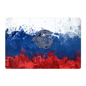 Магнитный плакат 3Х2 с принтом Акула в Тюмени, Полимерный материал с магнитным слоем | 6 деталей размером 9*9 см | Тематика изображения на принте: плавание | россия | русский | спорт