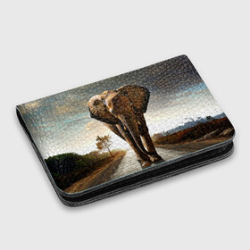 Картхолдер с принтом с принтом Дикий слон в Тюмени, натуральная матовая кожа | размер 7,3 х 10 см; кардхолдер имеет 4 кармана для карт; | Тематика изображения на принте: слон