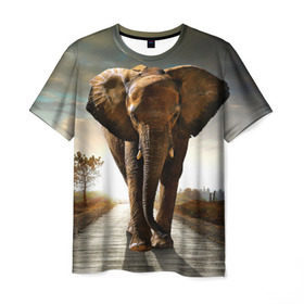 Мужская футболка 3D с принтом Дикий слон в Тюмени, 100% полиэфир | прямой крой, круглый вырез горловины, длина до линии бедер | слон