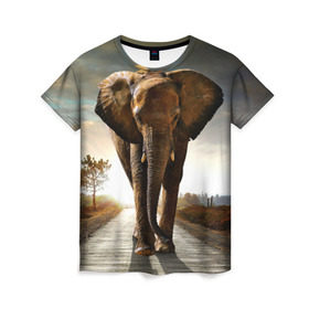 Женская футболка 3D с принтом Дикий слон в Тюмени, 100% полиэфир ( синтетическое хлопкоподобное полотно) | прямой крой, круглый вырез горловины, длина до линии бедер | слон
