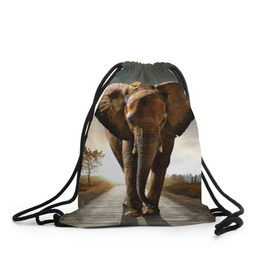 Рюкзак-мешок 3D с принтом Дикий слон в Тюмени, 100% полиэстер | плотность ткани — 200 г/м2, размер — 35 х 45 см; лямки — толстые шнурки, застежка на шнуровке, без карманов и подкладки | слон
