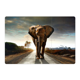 Магнитный плакат 3Х2 с принтом Дикий слон в Тюмени, Полимерный материал с магнитным слоем | 6 деталей размером 9*9 см | слон