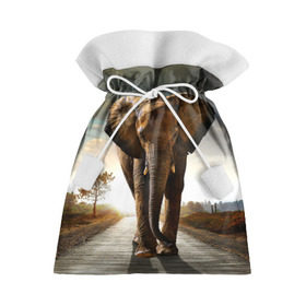 Подарочный 3D мешок с принтом Дикий слон в Тюмени, 100% полиэстер | Размер: 29*39 см | Тематика изображения на принте: слон