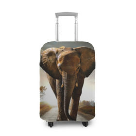 Чехол для чемодана 3D с принтом Дикий слон в Тюмени, 86% полиэфир, 14% спандекс | двустороннее нанесение принта, прорези для ручек и колес | слон