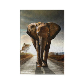 Обложка для паспорта матовая кожа с принтом Дикий слон в Тюмени, натуральная матовая кожа | размер 19,3 х 13,7 см; прозрачные пластиковые крепления | Тематика изображения на принте: слон