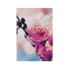Обложка для паспорта матовая кожа с принтом Цветущая вишня в Тюмени, натуральная матовая кожа | размер 19,3 х 13,7 см; прозрачные пластиковые крепления | вишня | дерево | небо | природа | черешня | ягода