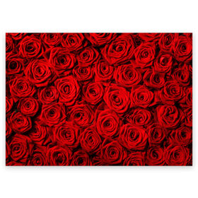 Поздравительная открытка с принтом Красные розы в Тюмени, 100% бумага | плотность бумаги 280 г/м2, матовая, на обратной стороне линовка и место для марки
 | букет | лепесток | роза | розы | цвет | цветок