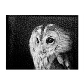 Обложка для студенческого билета с принтом Сова в Тюмени, натуральная кожа | Размер: 11*8 см; Печать на всей внешней стороне | ночь | ночьная | птица | сова | фото | хищник | черно белое