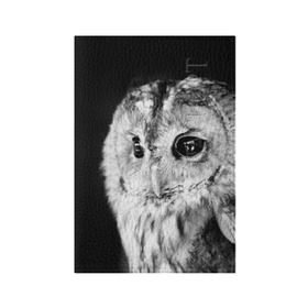 Обложка для паспорта матовая кожа с принтом Сова в Тюмени, натуральная матовая кожа | размер 19,3 х 13,7 см; прозрачные пластиковые крепления | ночь | ночьная | птица | сова | фото | хищник | черно белое