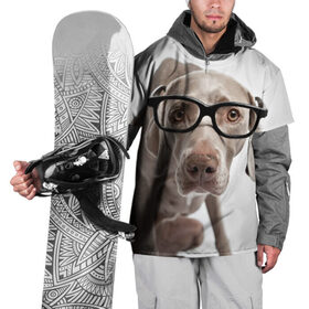 Накидка на куртку 3D с принтом Собака в очках в Тюмени, 100% полиэстер |  | в очках | дог | животное | очки | прикол | пятнистый | собака | щенок
