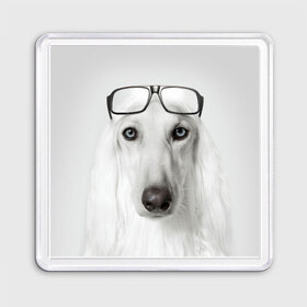 Магнит 55*55 с принтом Собака в очках в Тюмени, Пластик | Размер: 65*65 мм; Размер печати: 55*55 мм | афганская | белая | борзая | в очках | животное | очки | прикол | собака