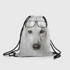 Рюкзак-мешок 3D с принтом Собака в очках в Тюмени, 100% полиэстер | плотность ткани — 200 г/м2, размер — 35 х 45 см; лямки — толстые шнурки, застежка на шнуровке, без карманов и подкладки | Тематика изображения на принте: афганская | белая | борзая | в очках | животное | очки | прикол | собака