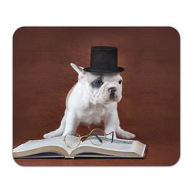 Коврик прямоугольный с принтом Бульдог в цилиндре в Тюмени, натуральный каучук | размер 230 х 185 мм; запечатка лицевой стороны | бульдог в цилиндре | домашнее | животное | книга французский | очки | пес | прикол | собака | умный | ученый