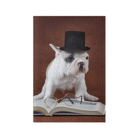Обложка для паспорта матовая кожа с принтом Бульдог в цилиндре в Тюмени, натуральная матовая кожа | размер 19,3 х 13,7 см; прозрачные пластиковые крепления | бульдог в цилиндре | домашнее | животное | книга французский | очки | пес | прикол | собака | умный | ученый