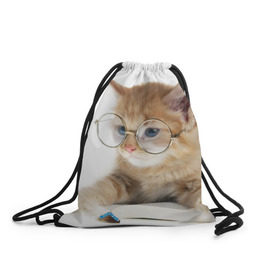 Рюкзак-мешок 3D с принтом Кот в очках в Тюмени, 100% полиэстер | плотность ткани — 200 г/м2, размер — 35 х 45 см; лямки — толстые шнурки, застежка на шнуровке, без карманов и подкладки | Тематика изображения на принте: домашнее | животное | книга | кот | кот в очках | котэ | очки | прикол | умный | ученый | читает