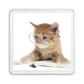 Магнит 55*55 с принтом Кот в очках в Тюмени, Пластик | Размер: 65*65 мм; Размер печати: 55*55 мм | Тематика изображения на принте: домашнее | животное | книга | кот | кот в очках | котэ | очки | прикол | умный | ученый | читает