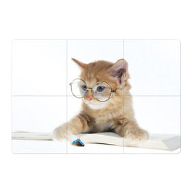 Магнитный плакат 3Х2 с принтом Кот в очках в Тюмени, Полимерный материал с магнитным слоем | 6 деталей размером 9*9 см | Тематика изображения на принте: домашнее | животное | книга | кот | кот в очках | котэ | очки | прикол | умный | ученый | читает