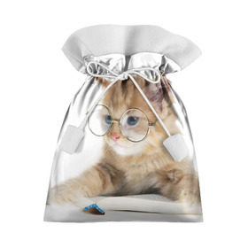 Подарочный 3D мешок с принтом Кот в очках в Тюмени, 100% полиэстер | Размер: 29*39 см | домашнее | животное | книга | кот | кот в очках | котэ | очки | прикол | умный | ученый | читает